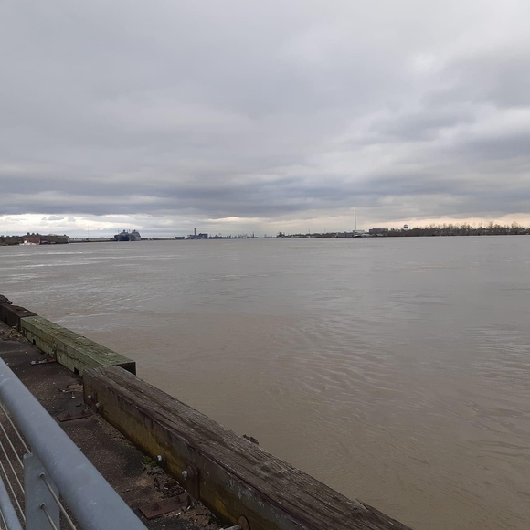 Meet your Posher, Bernardez - Picture 1 of 1